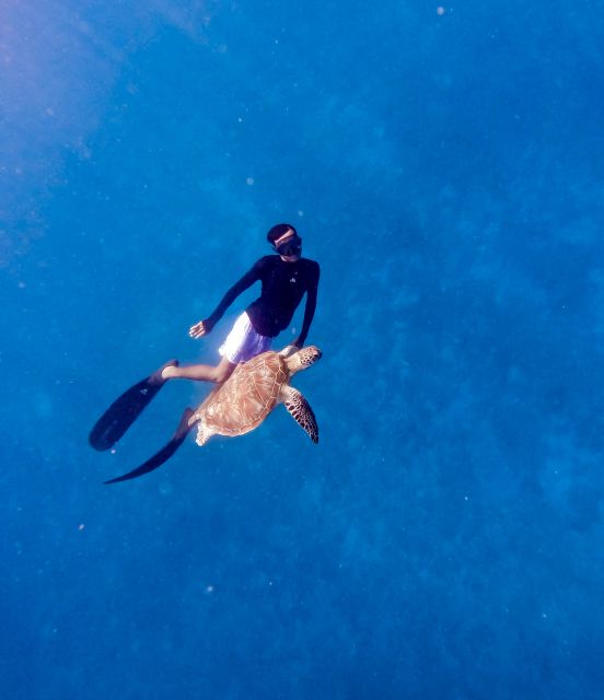 Private Snorkeling With Turtle and Romantice Statue - Pricing Details