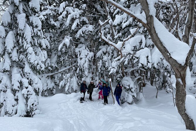 Private Snow Shoe Tour in Shiretoko National Park - Preparing for the Snowshoe Tour