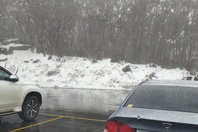 Private Snow Tour From Melbourne - Up to 14 Travellers - Final Thoughts: Who Should Consider This Tour?