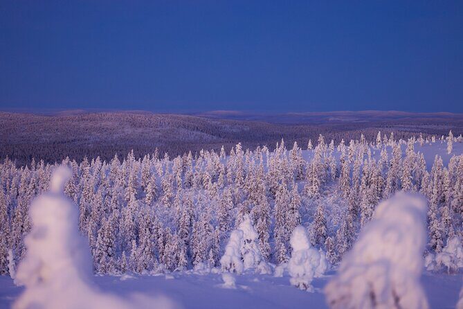 Private Snowshoe or Ski Adventure in Lapland - An In-Depth Look at the Tour Experience