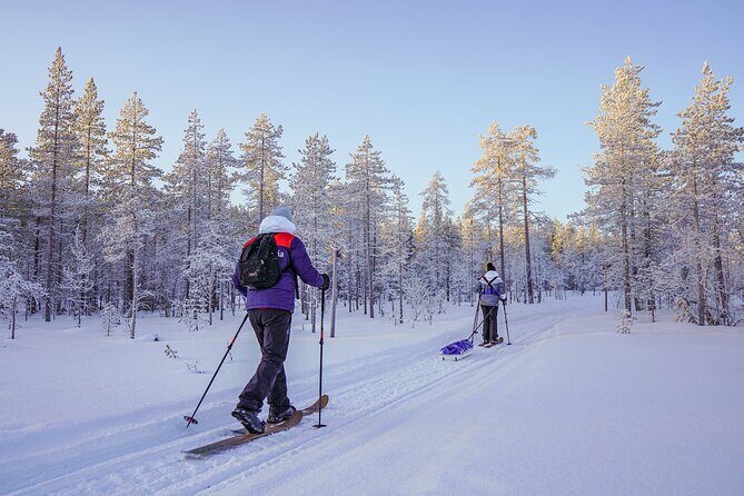 Private Snowshoe or Ski Adventure in Lapland - Who Will Love This Tour?