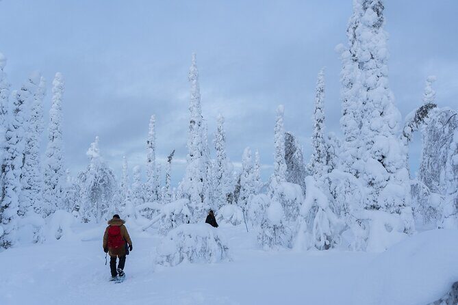 Private Snowshoe or Ski Adventure in Lapland - FAQ