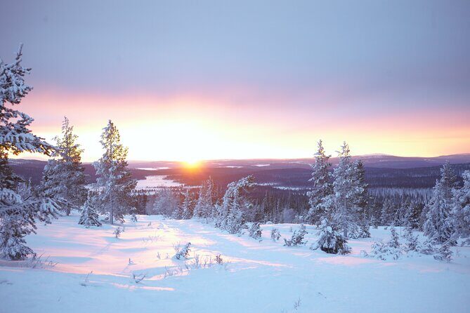 Private: Snowshoeing Safari in spectacular National Park - An In-Depth Look at the Snowshoeing Experience