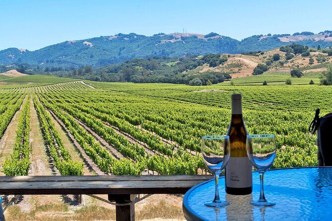 Private Sonoma Valley Wine Country Charter Transportation - What to Expect: An Inside Look at this Sonoma Valley Experience