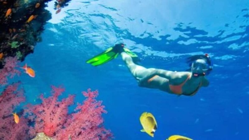 Private: Sosua Bay Snorkeling Tour with Hotel Pickup - A Closer Look at the Sosua Bay Snorkeling Tour