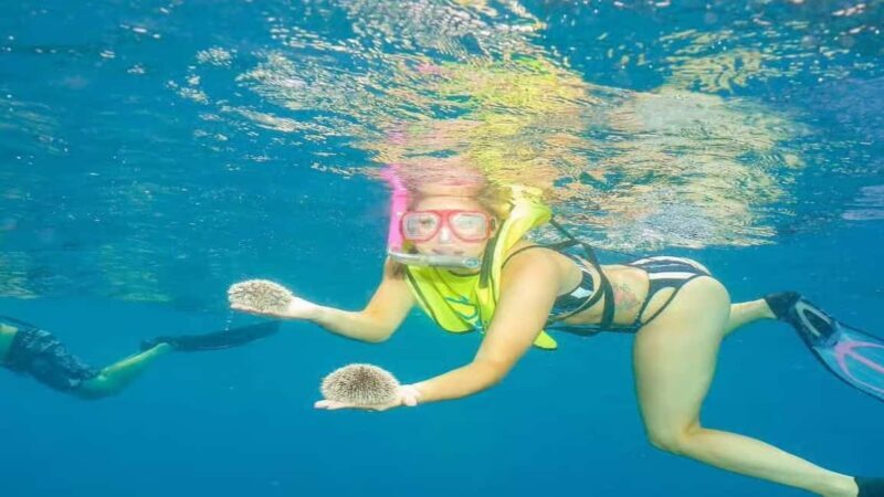 Private: Sosua Bay Snorkeling Tour with Hotel Pickup - Final Thoughts: Is This Tour Right for You?