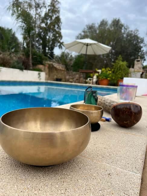 Private SoundHealing Journey  1  12 Guests  1 or 2 hr - Is It Worth the Price?