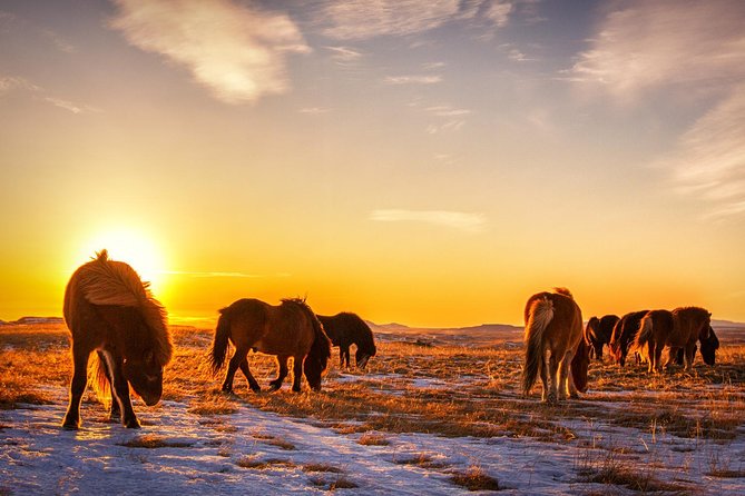 Private South Coast Tour With a Professional Photographer/Guide - Exclusivity and Customization