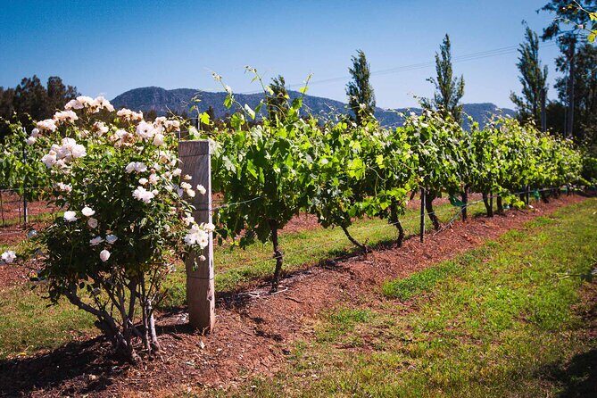 Private Southern Highlands Luxury Wine Indulgence Tour - Key Points