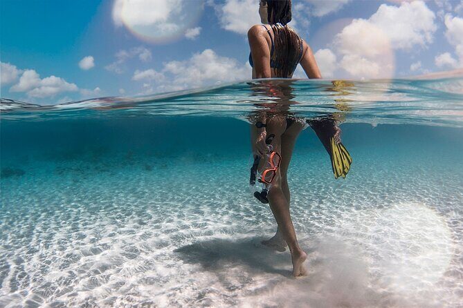 Private Southern Island Tour Including Family Photoshoot - FAQ