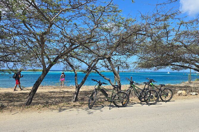 Private Spanish Lagoon EcoHeritage E-Bike Tour - Key Points