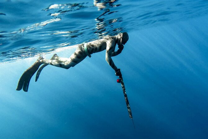 Private Spearfishing Trip From Athens - Pickup and Accommodation Details