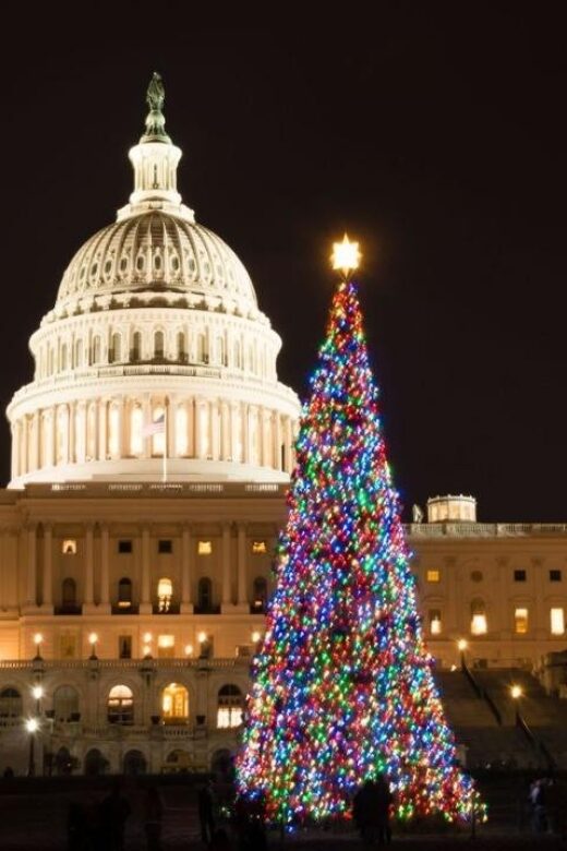 Private Special Christmas tour in Washington - A Closer Look at the Experience