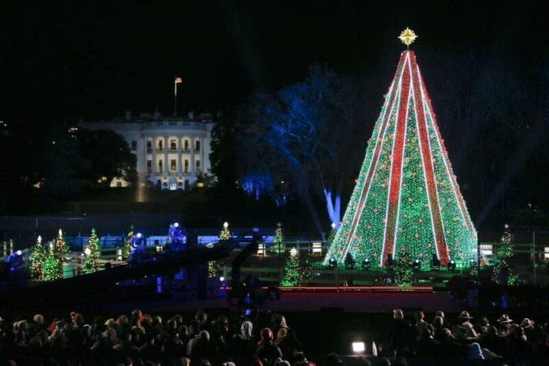Private Special Christmas tour in Washington - Breaking Down the Itinerary