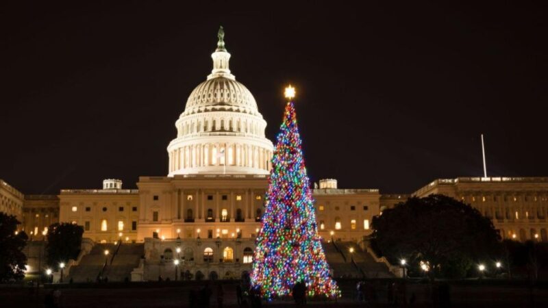 Private Special Christmas tour in Washington - Practical Details