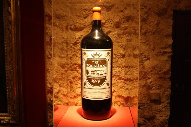 Private Special Tour Around Lisbon and Wine Tasting - Practical Details and Tips