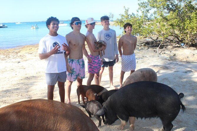 Private speed boat beach and bar hopping visiting Rose island - Practical Details and What to Expect