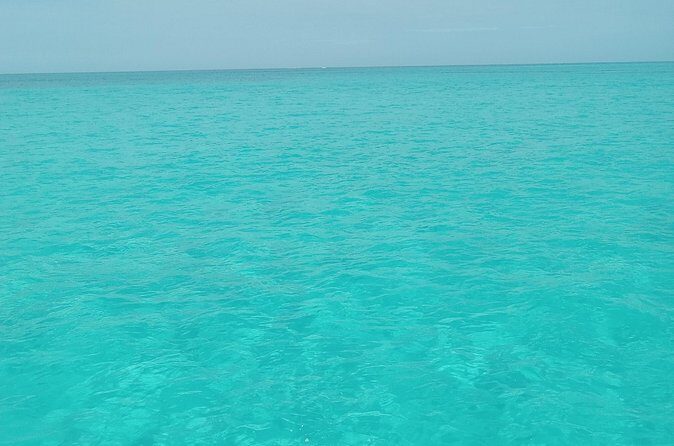 Private speed boat beach and bar hopping visiting Rose island - The Sum Up: Is This Tour Worth It?