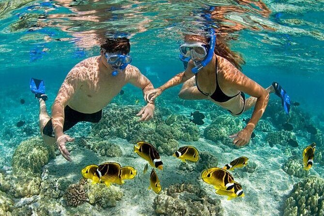 Private Speed Boat Experience with Snorkeling in Punta Cana - How the Experience Plays Out