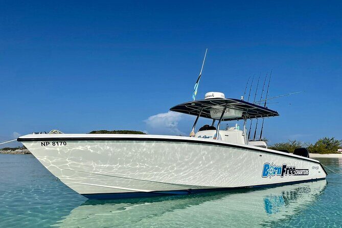 Private Speed Boat for Snorkeling or Fishing in Nassau - 34ft - Key Points