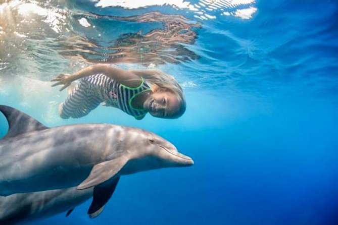 Private Speed Boat to Magawish Islands Hidden Wonders - Hurghada - Highlights of the Experience