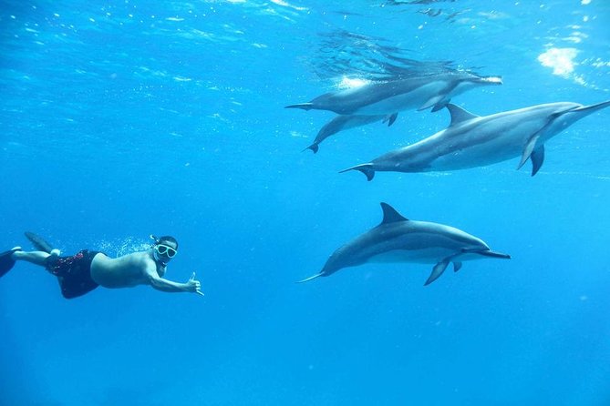 Private Speed Boat to Magawish Islands Hidden Wonders - Hurghada - Additional Costs to Consider