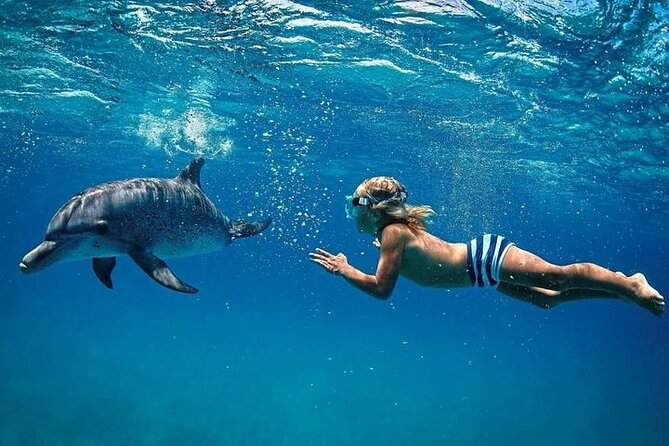 Private Speed Boat Tour and Dolphin Encounter at Ile Aux Benitier - Inclusions and Amenities