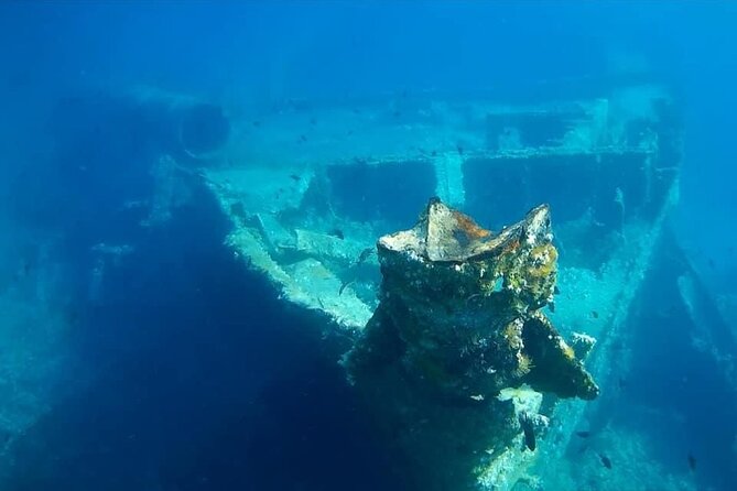 Private Speedboat Tour Hidden Gems of Dugi Otok - Exciting Activities to Experience