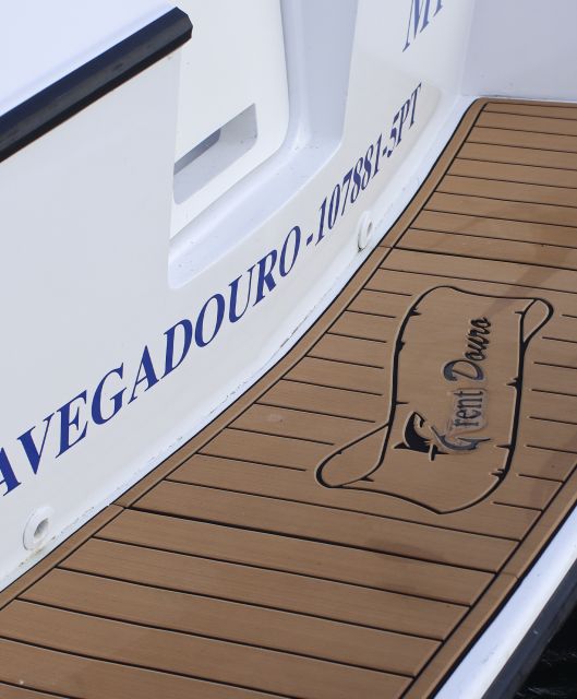 Private Speedboat Tour on the Douro River - Key Points
