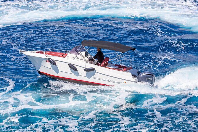 Private Speedboat Tour to Elafiti Islands - An In-Depth Look at the Tour Experience