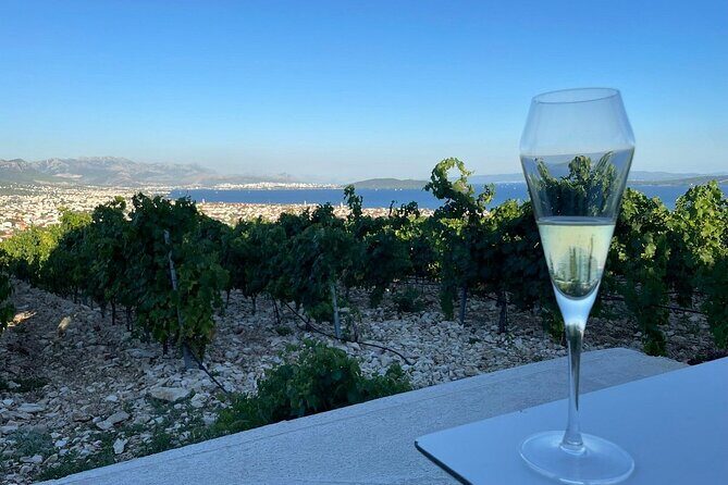 Private Split & Trogir: Wine Tasting & Vineyard with Sea View - A Close-Up Look at the Private Split & Trogir: Wine Tasting & Vineyard with Sea View Tour