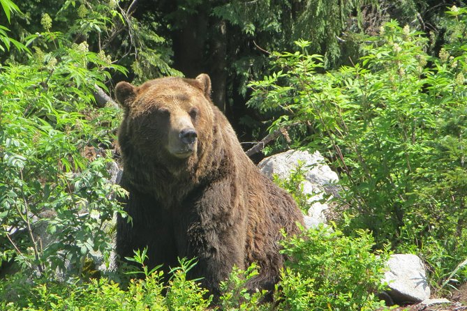 Private Squamish Day Trip - Explore Britannia Mine Museum