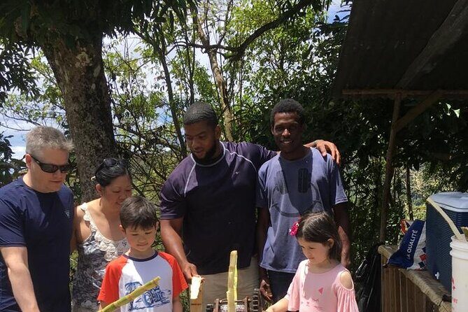 Private St Lucia Cruise Ship Excursion - Authentic Experiences and Insights