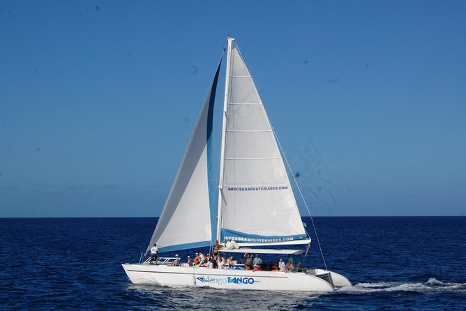 Private St Lucia Full Day Snorkeling Charter for Up to 15 Guests - Confirmation and Accessibility