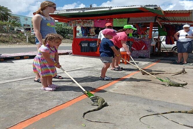 Private St Maarten Island Sightseeing Tour - Transportation and Comfort