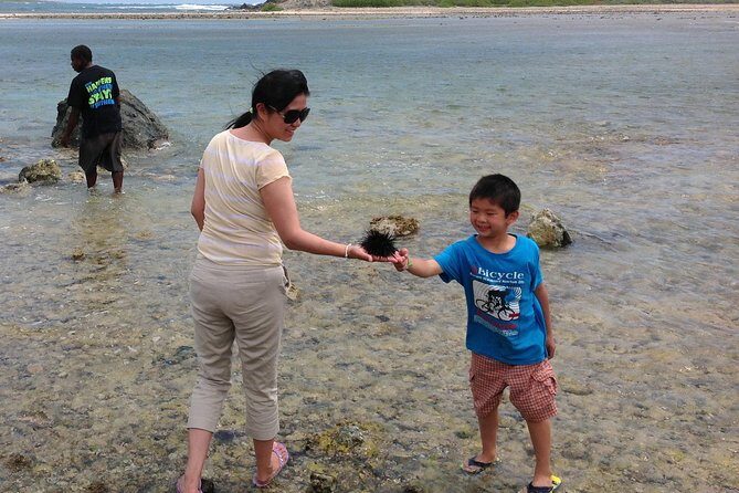 Private St Maarten Sightseeing Tour from Philipsburg - Why a Private Tour of St Maarten Matters