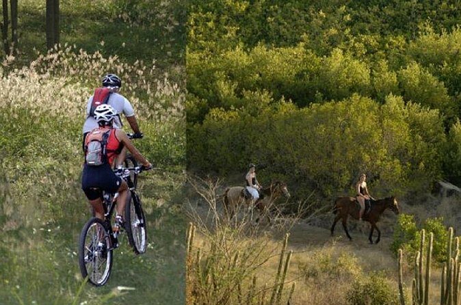 Private St Maarten Sightseeing Tour from Philipsburg - Who Will Love This Tour?