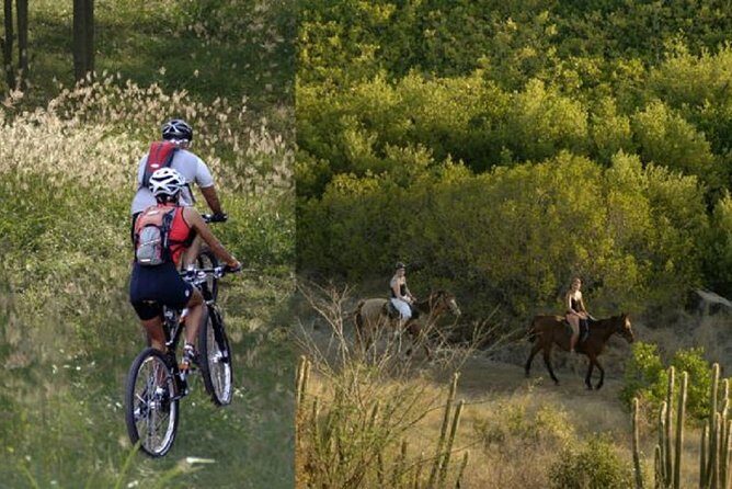 Private St Maarten Sightseeing Tour from Philipsburg - The Sum Up: Who Should Book?