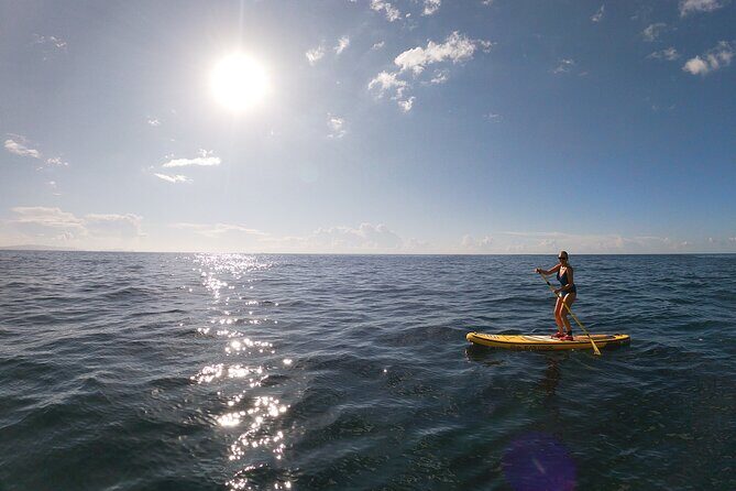 Private Stand Up Paddle Tour in Câmara de Lobos - Final Thoughts: Is This Tour Worth Your Time?