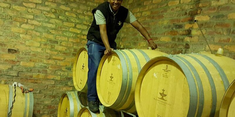 Private Stellenbosch Wine Tour - Tour Highlights