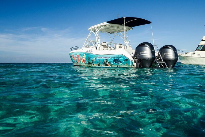 Private Stingray City Snorkeling and BioBay Charter for 6 Guests - Who Will Love This Tour?