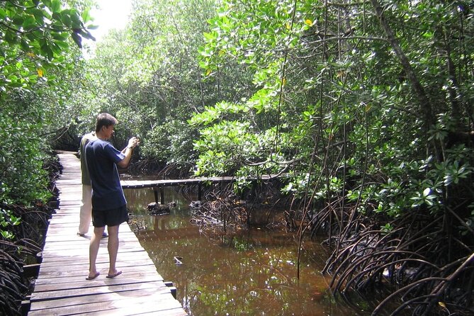 Private Stone Town & Spice Farm Tour - Exploring the Spice Farm