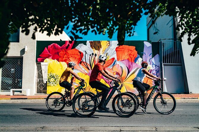 Private Street Art Murals and Coastal San Nicolas E-Bike Aruba - Who Would Enjoy This Tour?