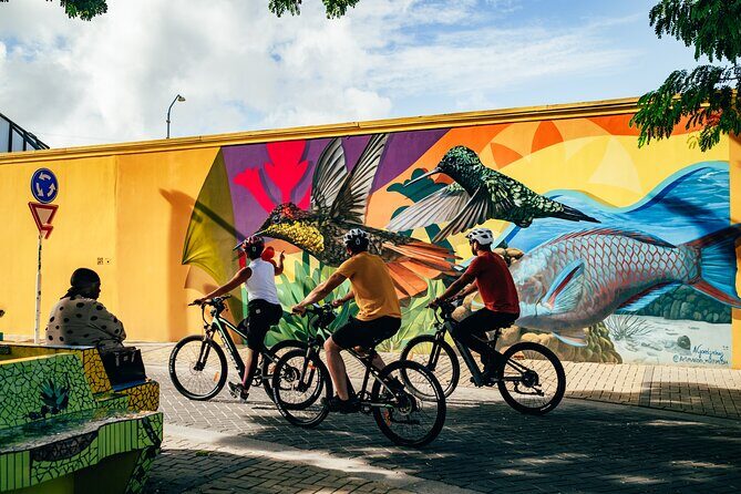 Private Street Art Murals and Coastal San Nicolas E-Bike Aruba - The Sum Up