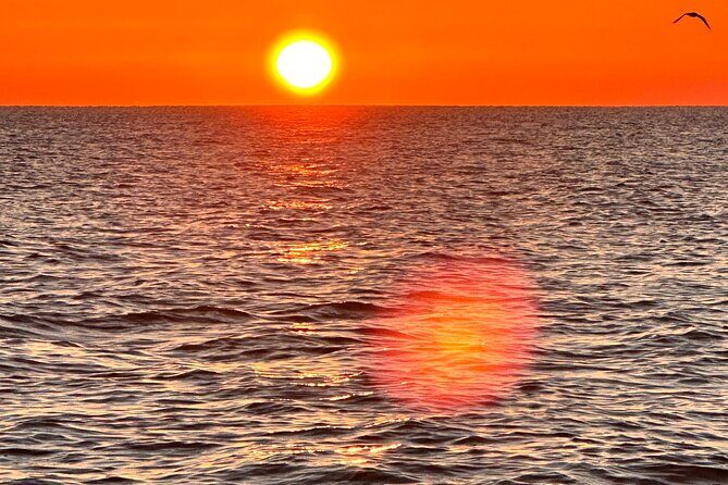 Private Sunrise Cruise in Florida - Key Points