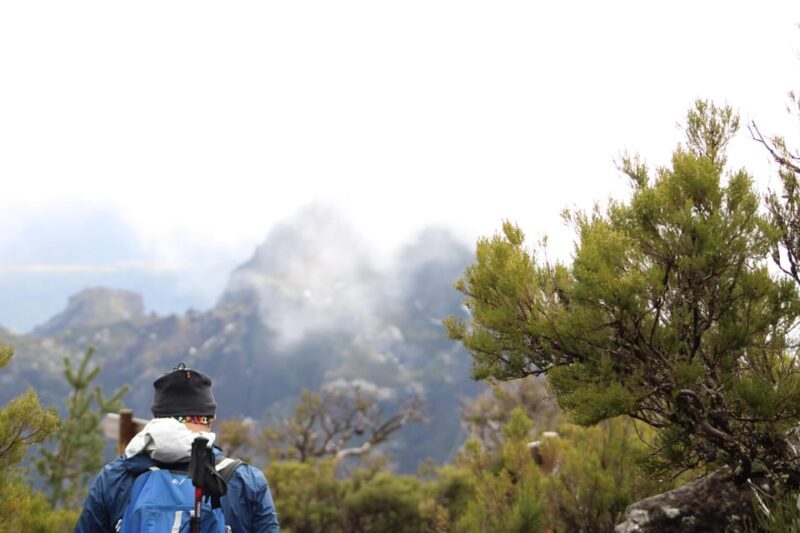 Private Sunrise Hike to Pico Ruivo with Hotel Pickup - The Guide’s Role and Real-World Experience