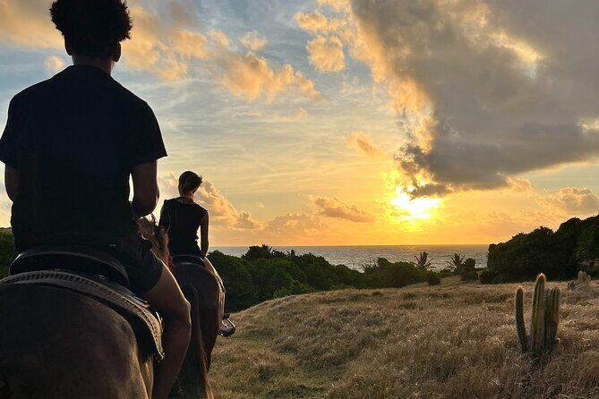 Private Sunrise Horseback Beach Ride with Sandy Hoofs St. Lucia - Key Points