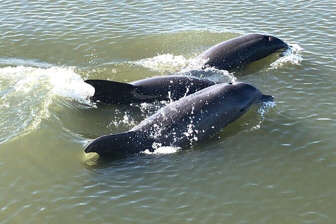 Private Sunset BYOB Boat Ride on Southern Charm - Exploring Charleston from the Water: A Deep Dive
