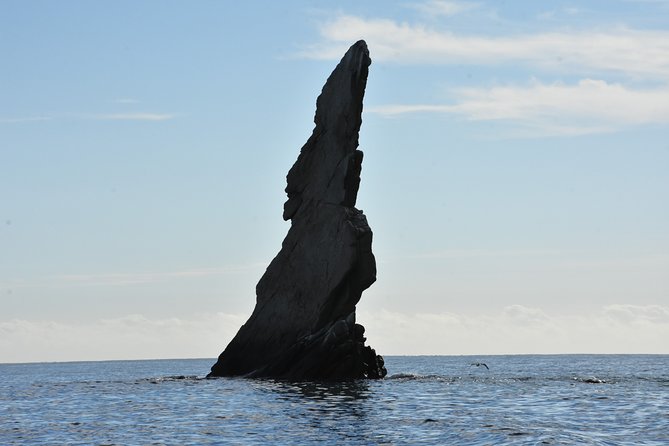 Private Sunset Cruise - What to Expect on Board