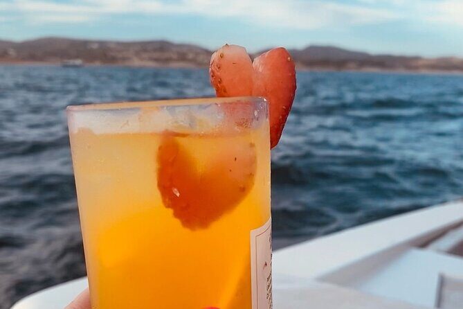 Private Sunset Cruise in San Jose del Cabo Appetizers,open bar - Authentic Experiences Shared by Travelers